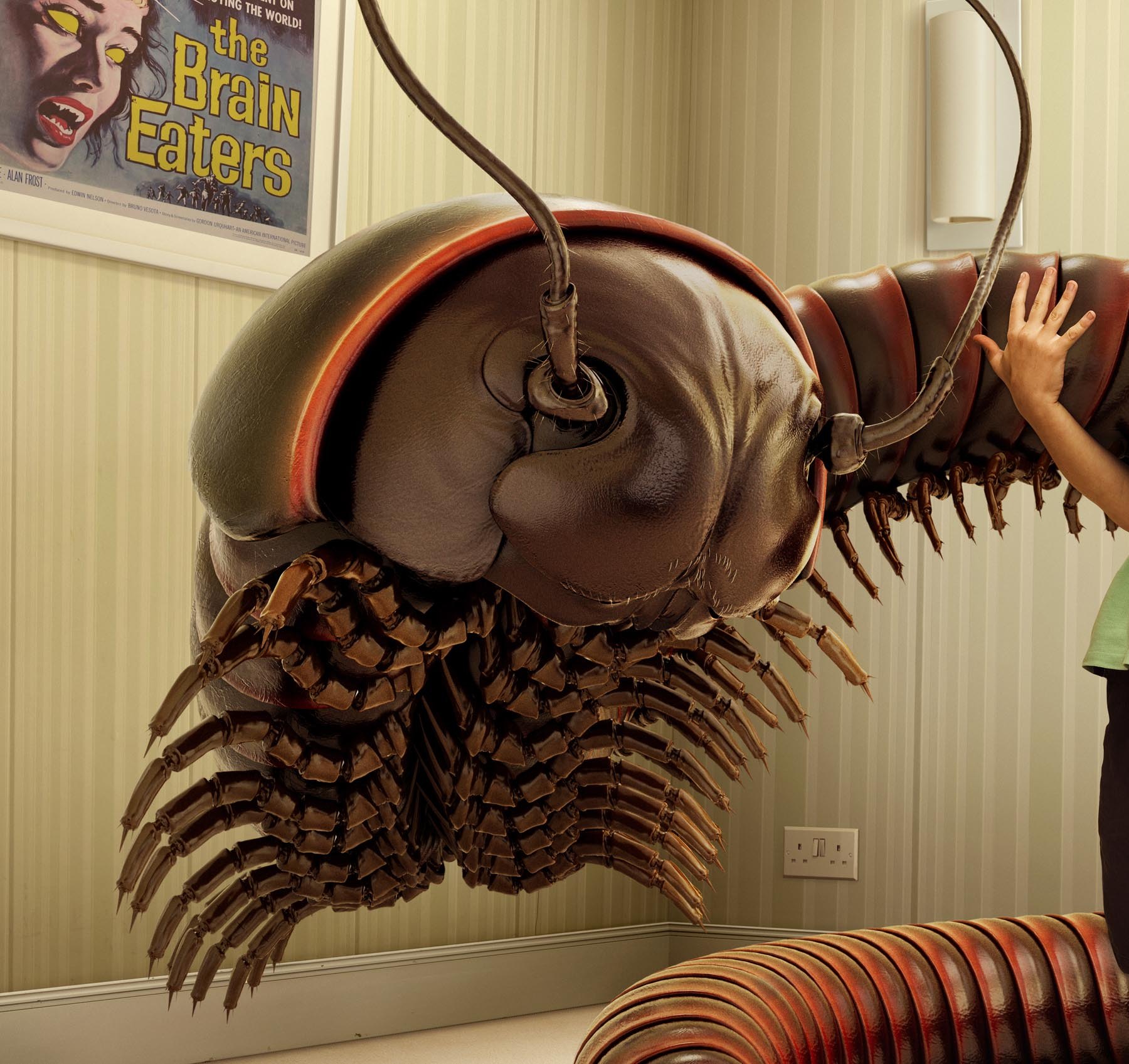 Boy Meets Bug Millipede, image 2