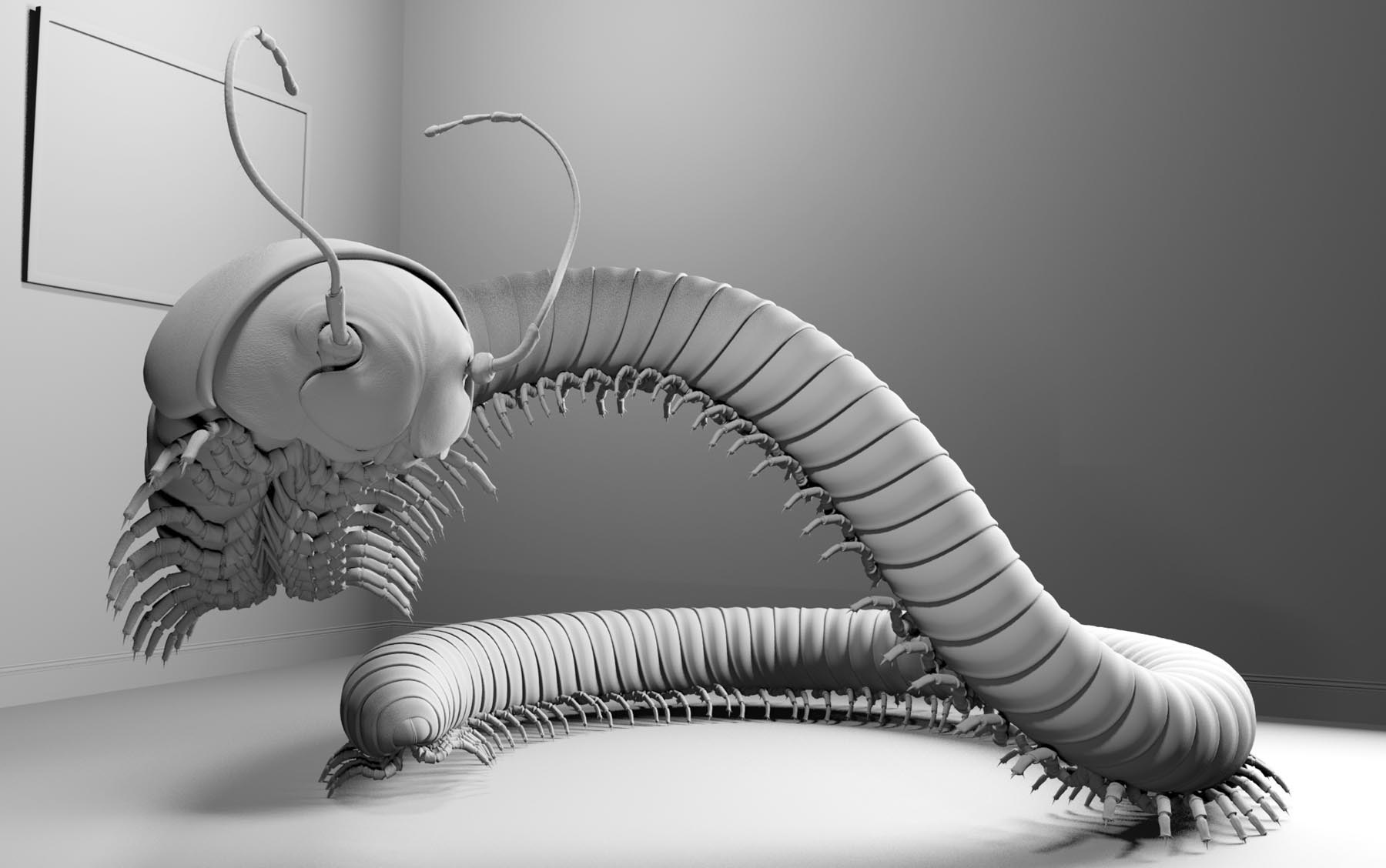 Boy Meets Bug Millipede: Clay render
