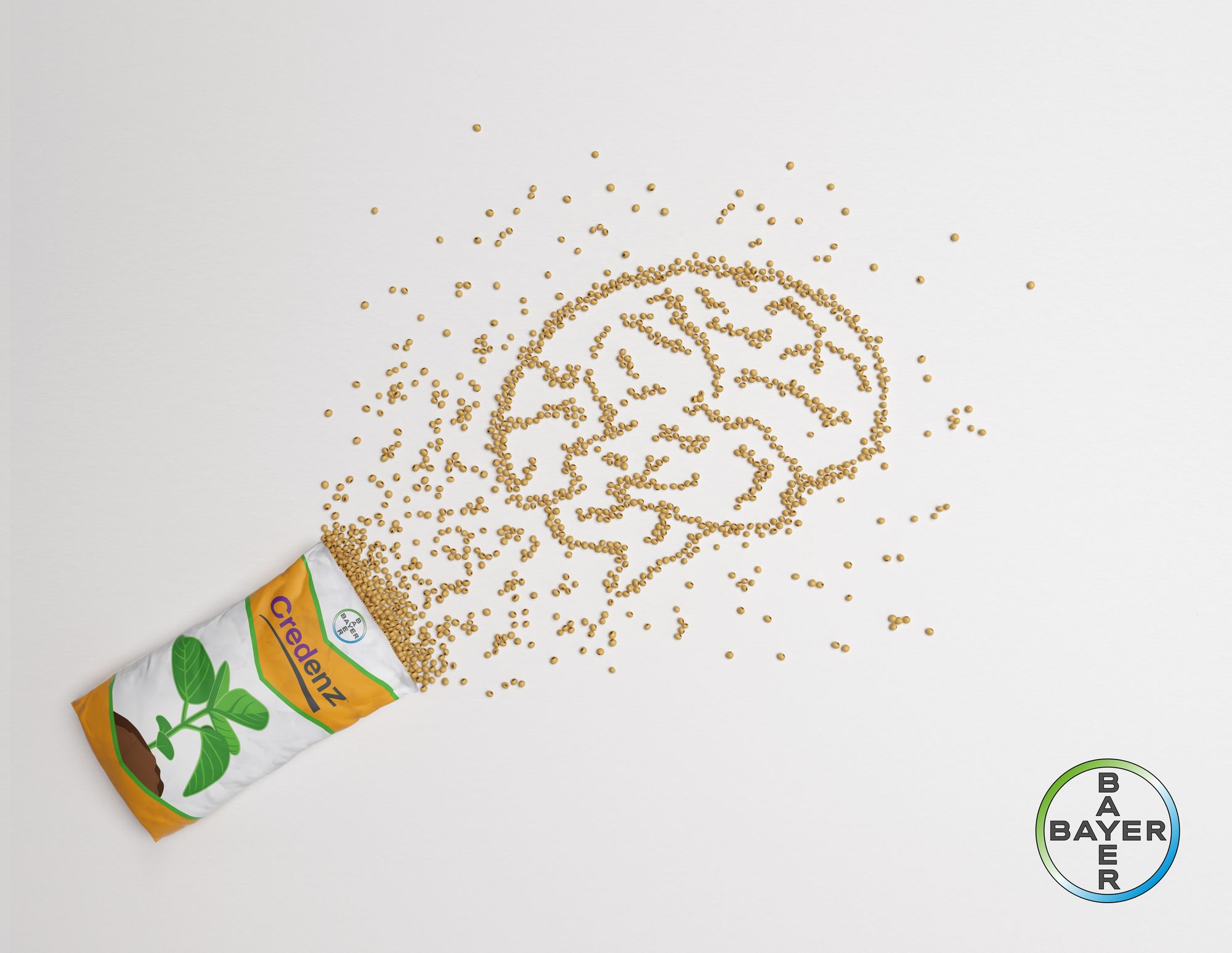 Bayer Beans: CGI seed beans poured from the Credenz sack into a brain