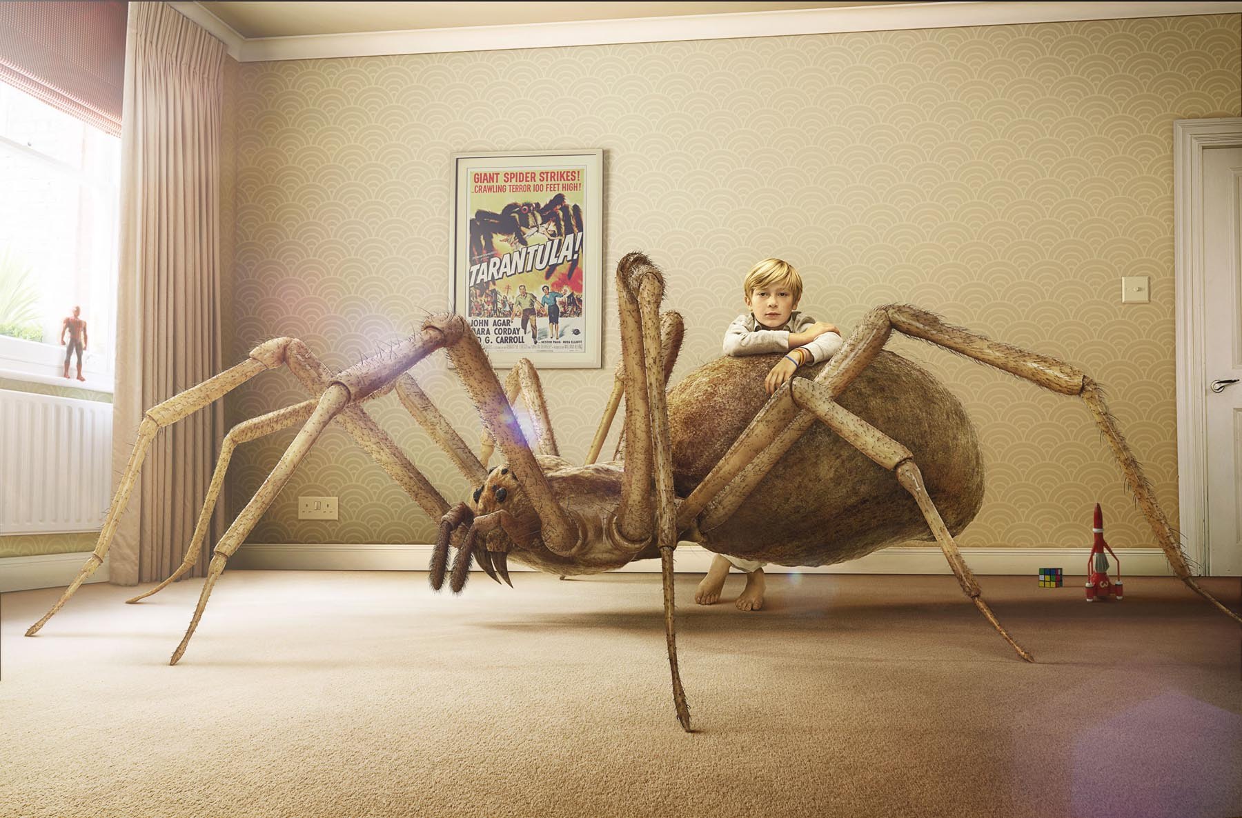 Boy Meets Bug Spider