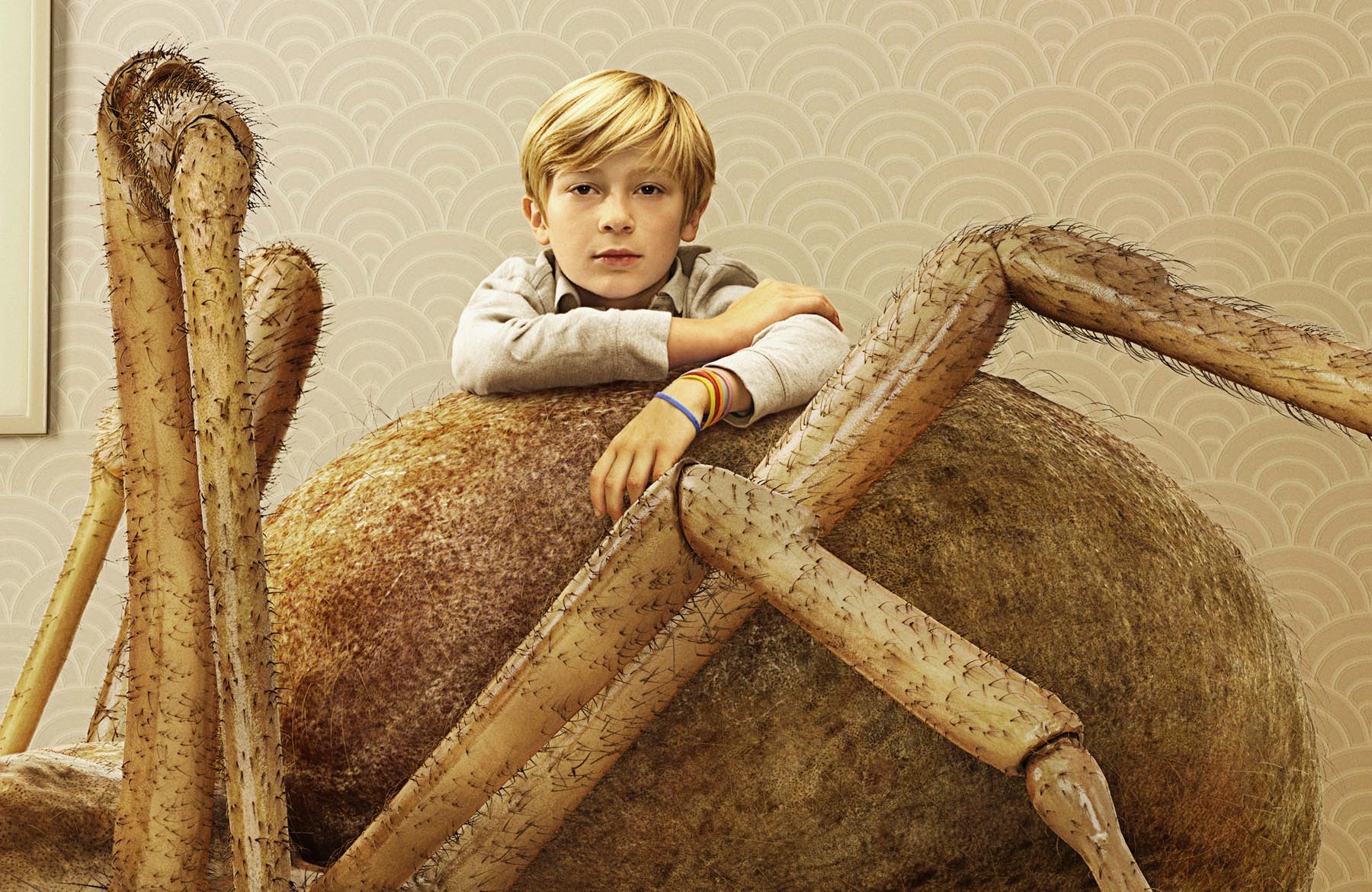 Boy Meets Bug Spider, image 2