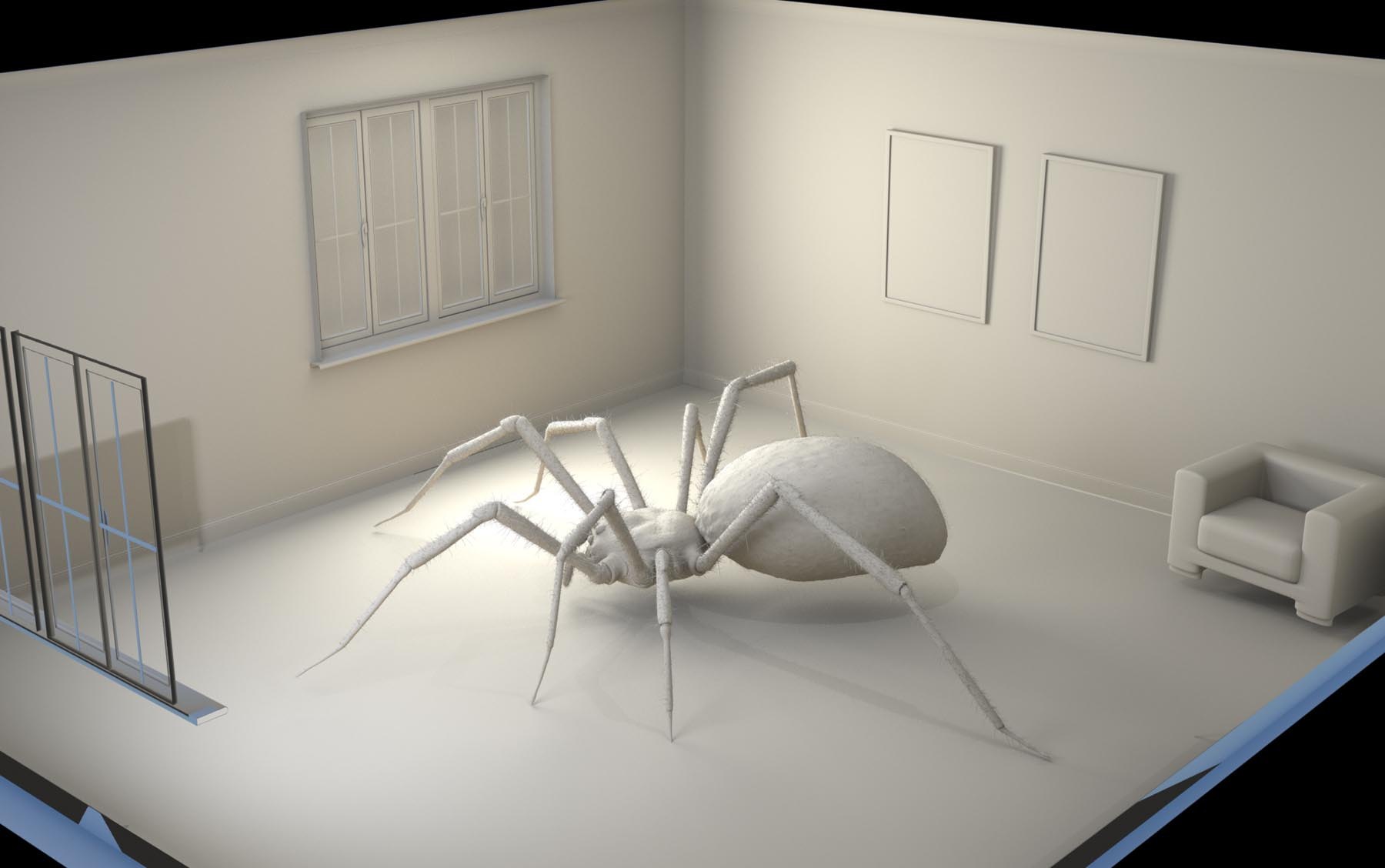 Boy Meets Bug Spider: Clay render