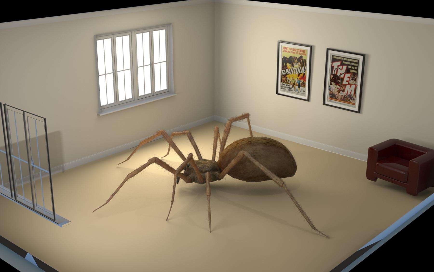Boy Meets Bug Spider: Lookdev