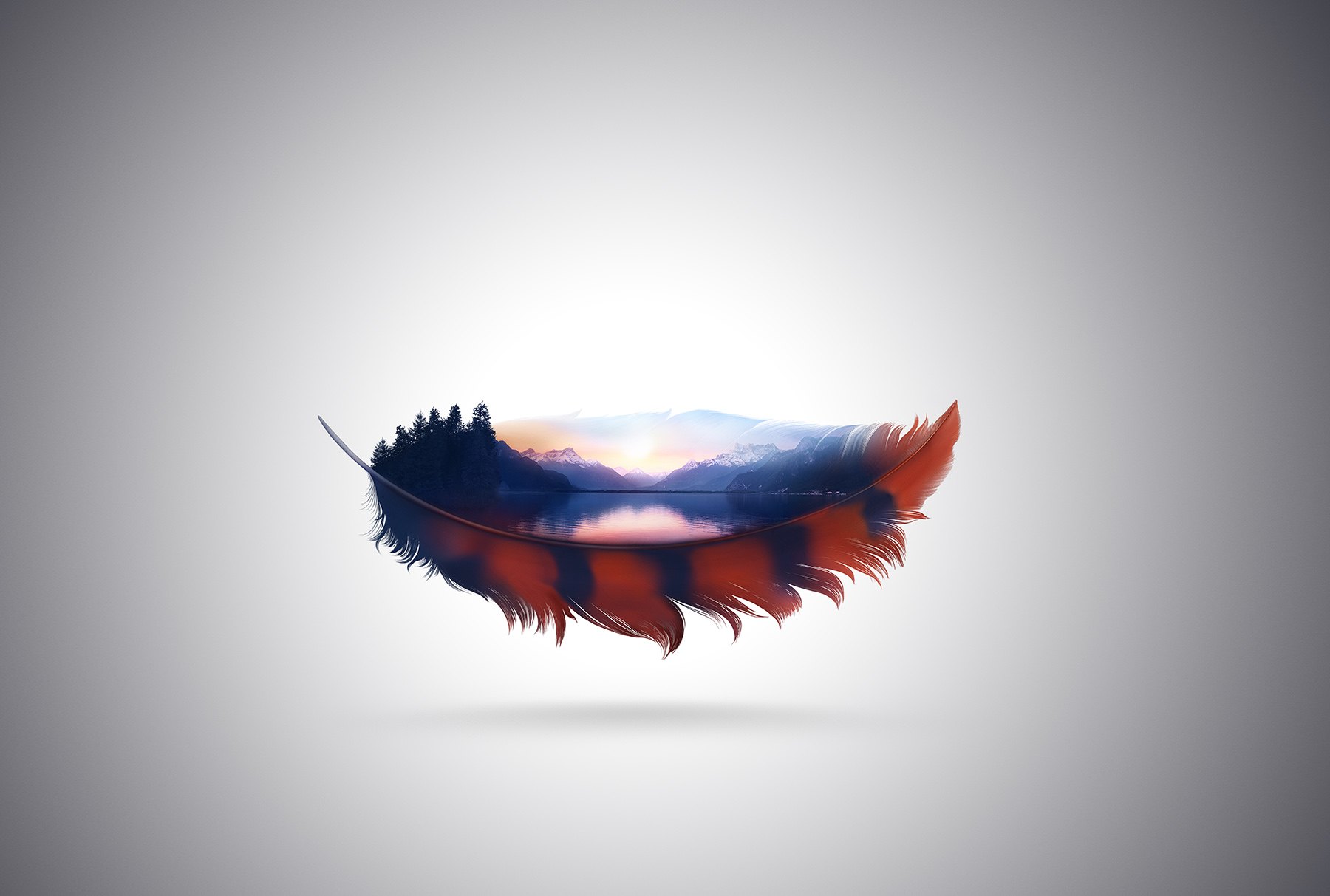 Feather, image 1
