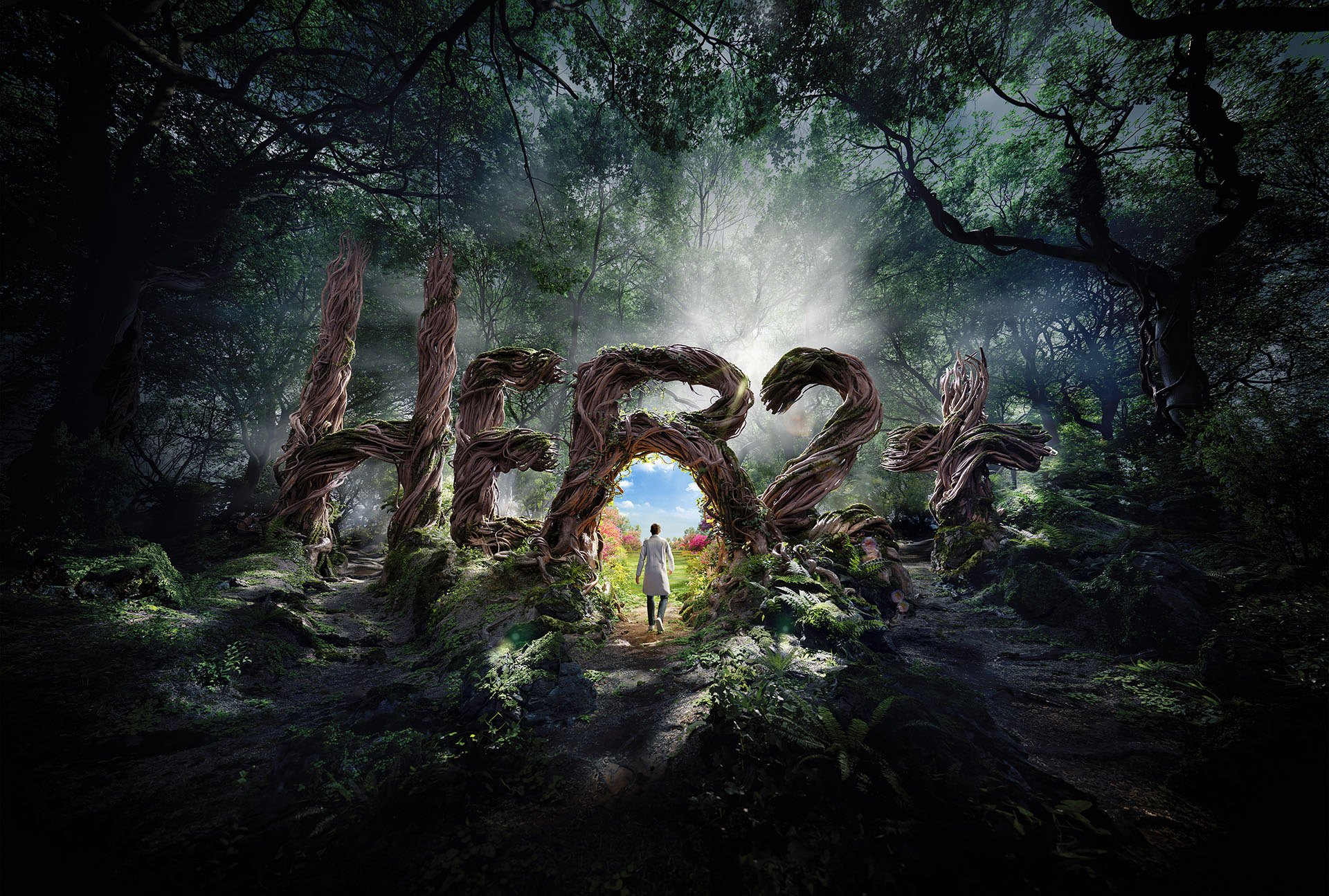Her2 Forest, image 1