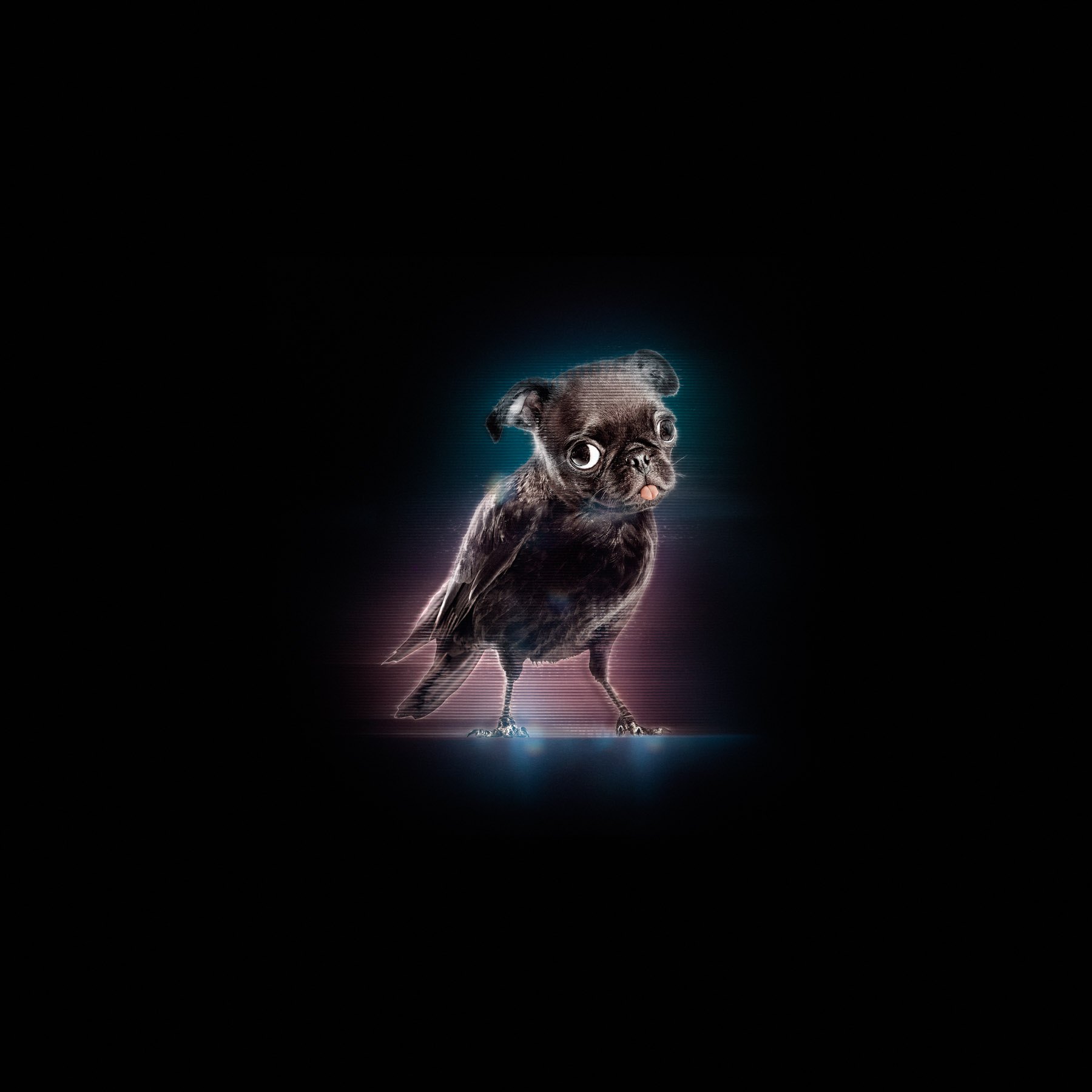 Holo Pets, image 2