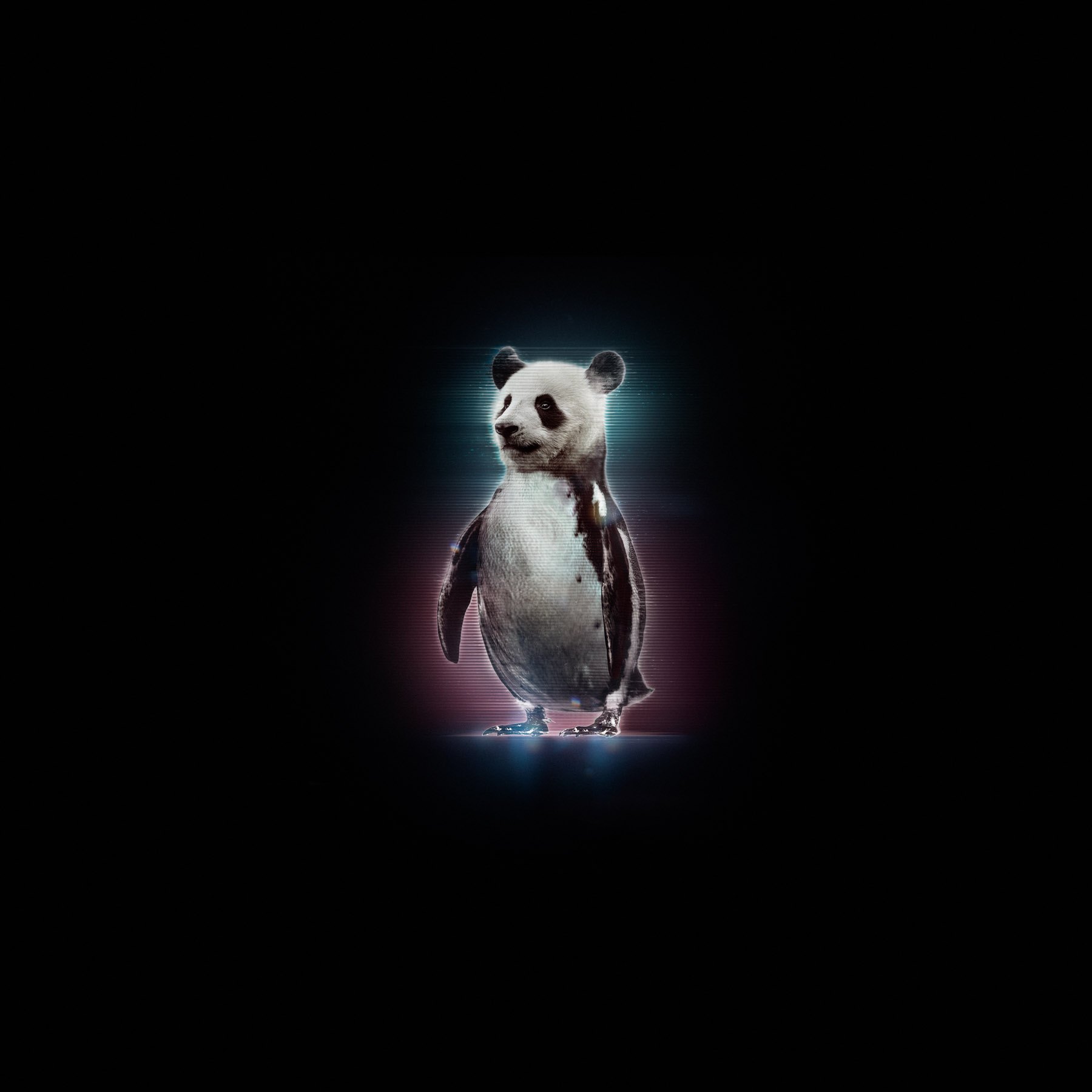 Holo Pets, image 3