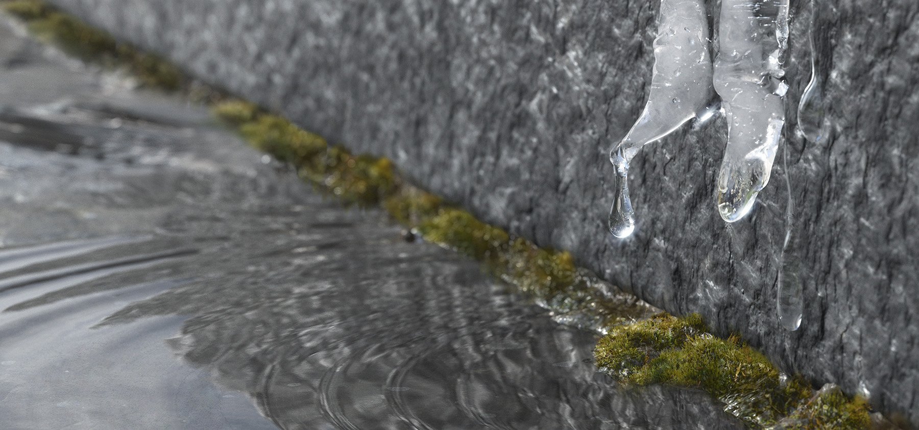 Ice Man, image 3