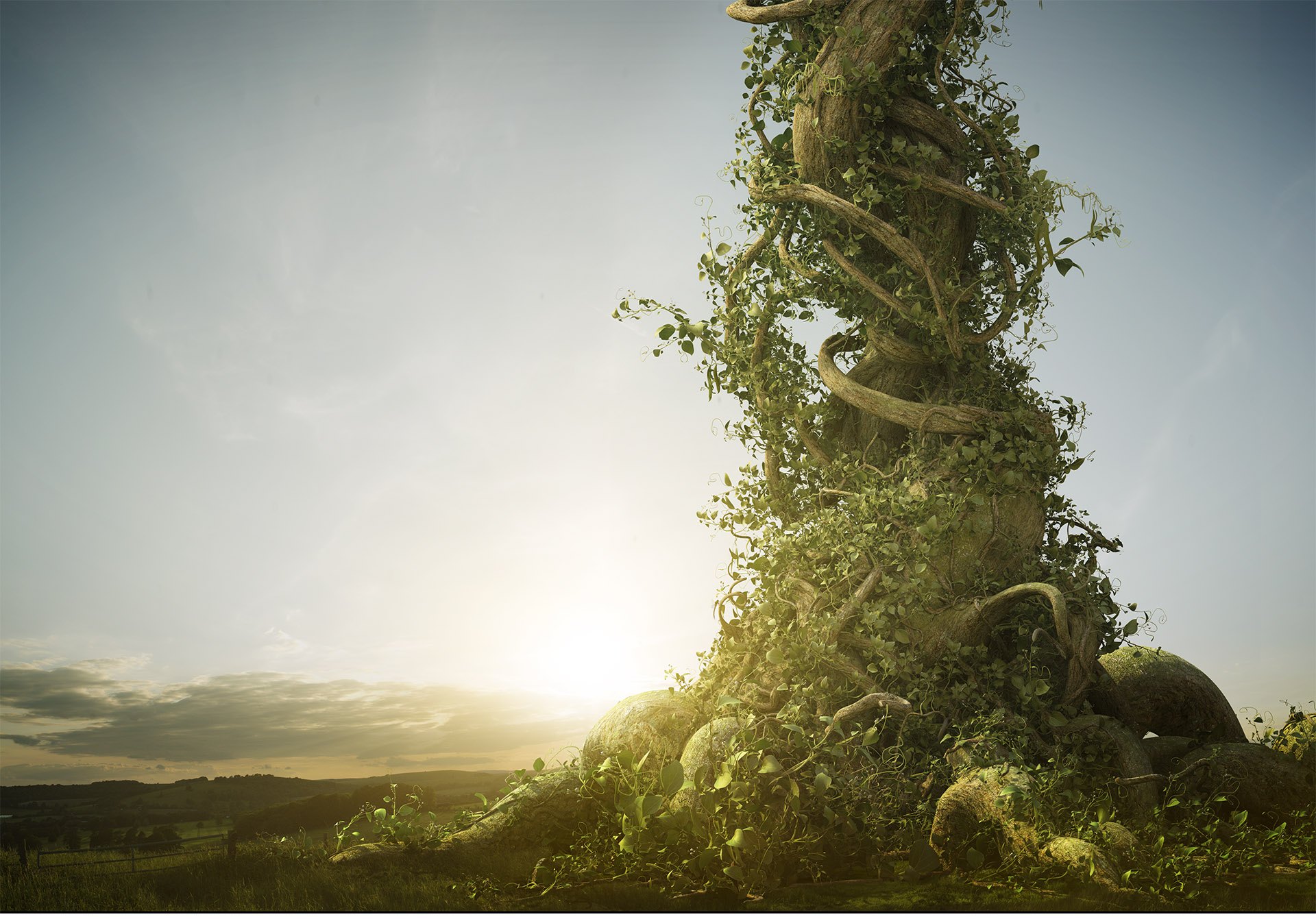 Jack and the Beanstalk