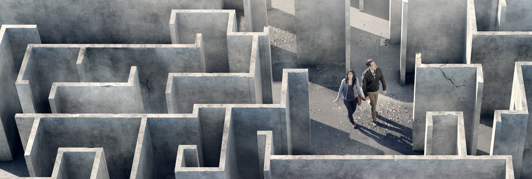 Pfizer Maze, image 3