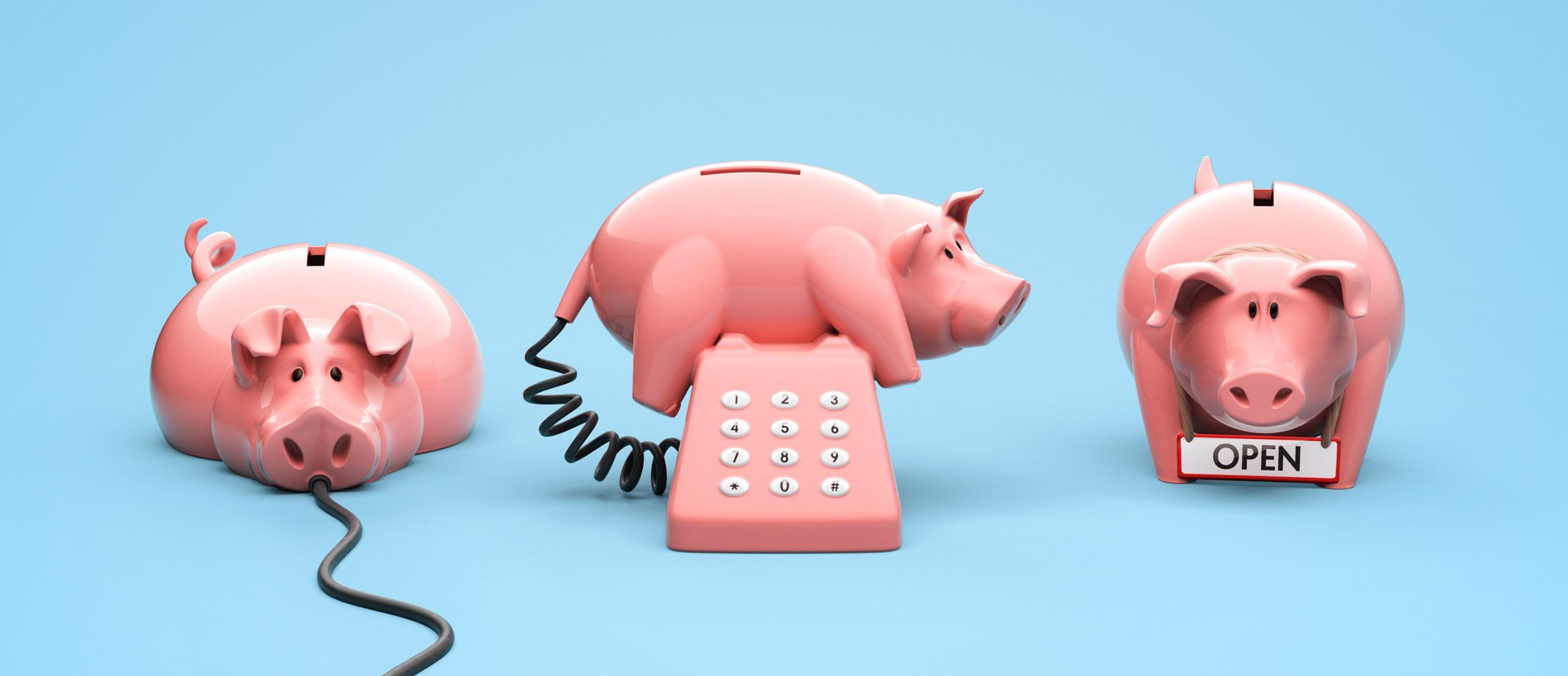 Piggy Banks, image 3