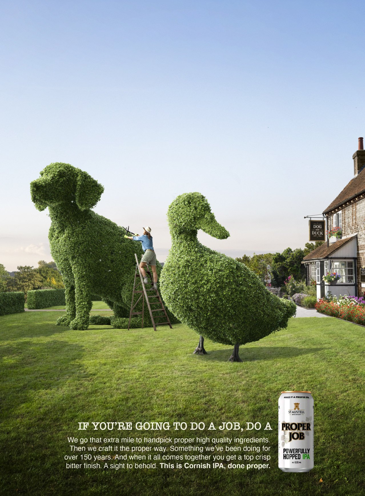 Proper Job Dog and Duck, image 1