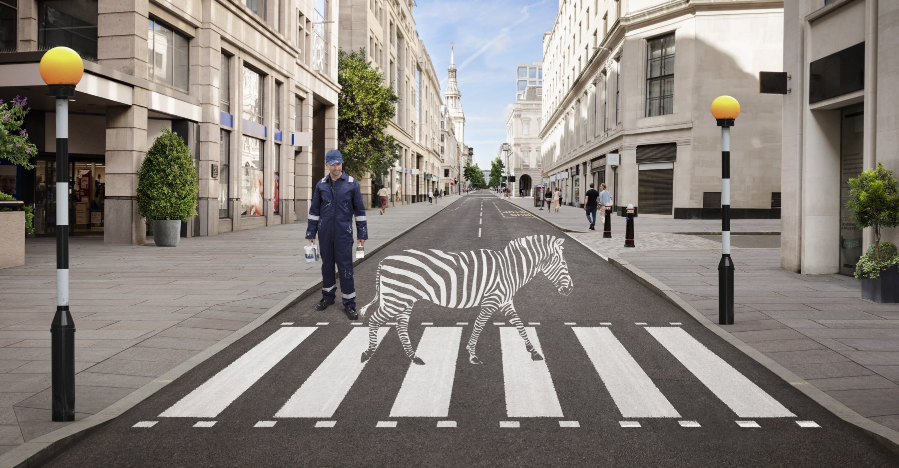 Proper Job Zebra