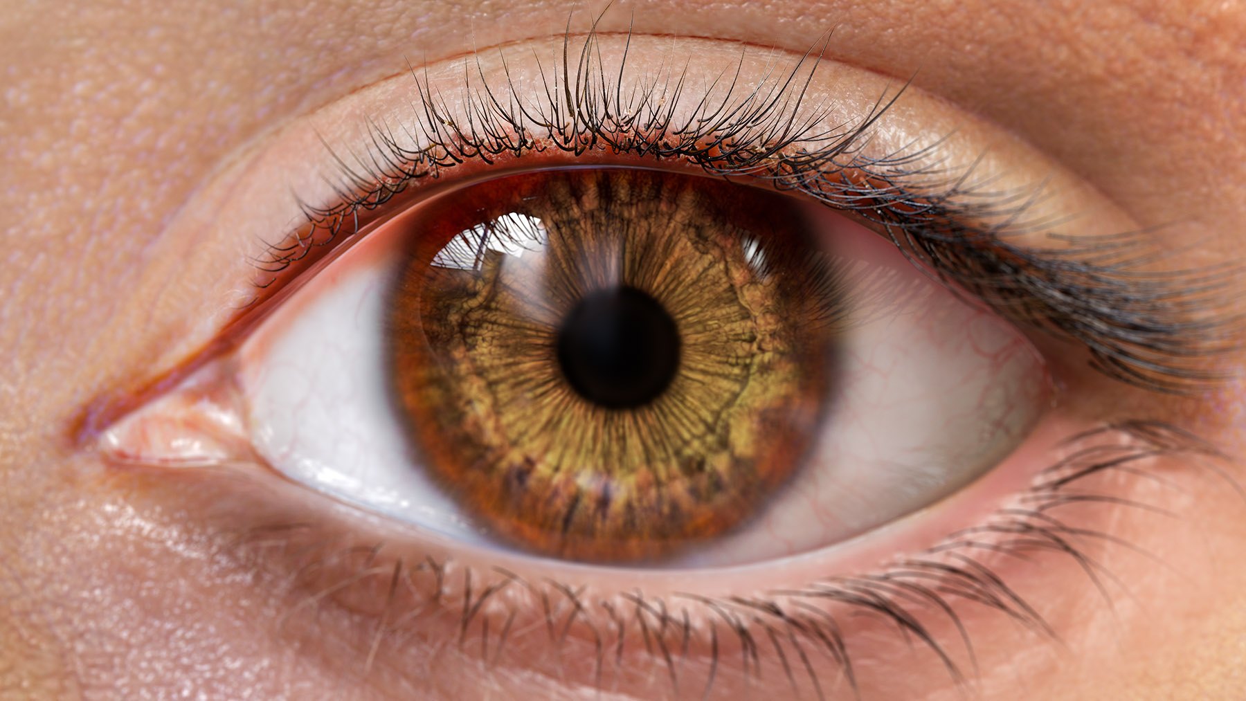 Puralid Eye, image 2