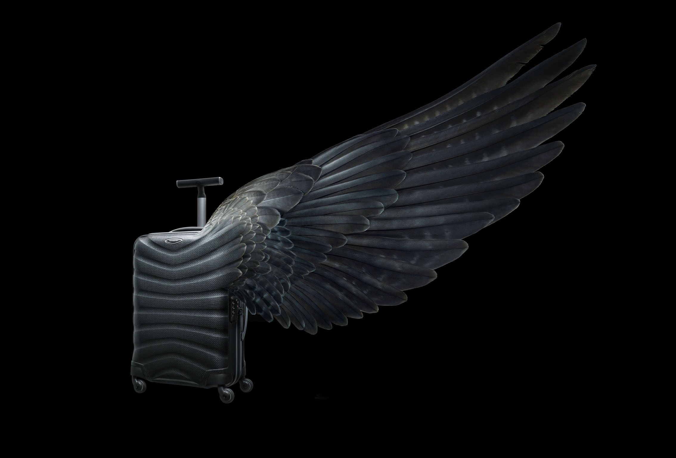 Samsonite Wings: a black Samsonite suitcase with a sweeping feathered wing growing out of its shell