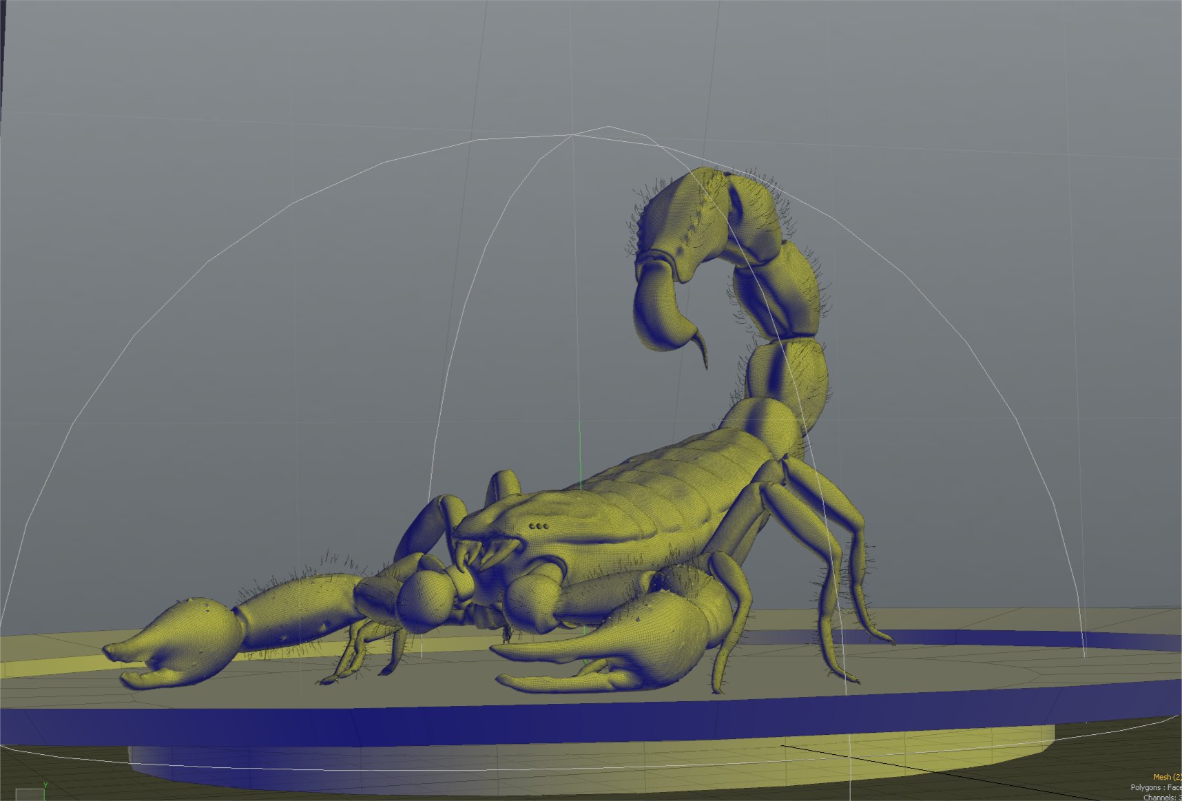 Scorpion Eater: Scorpion model