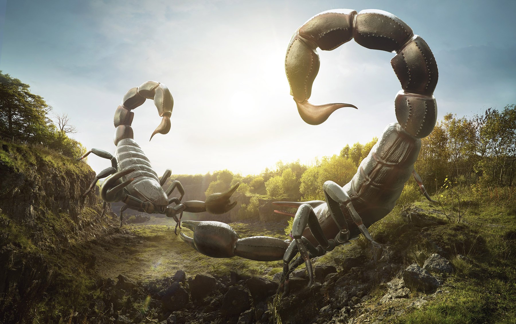 Scorpion Battle
