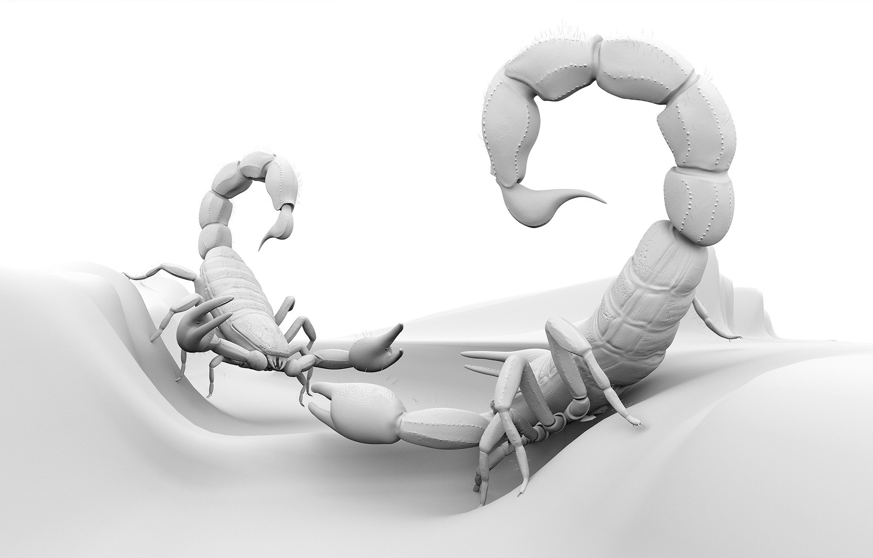 Scorpion Battle: Clay render