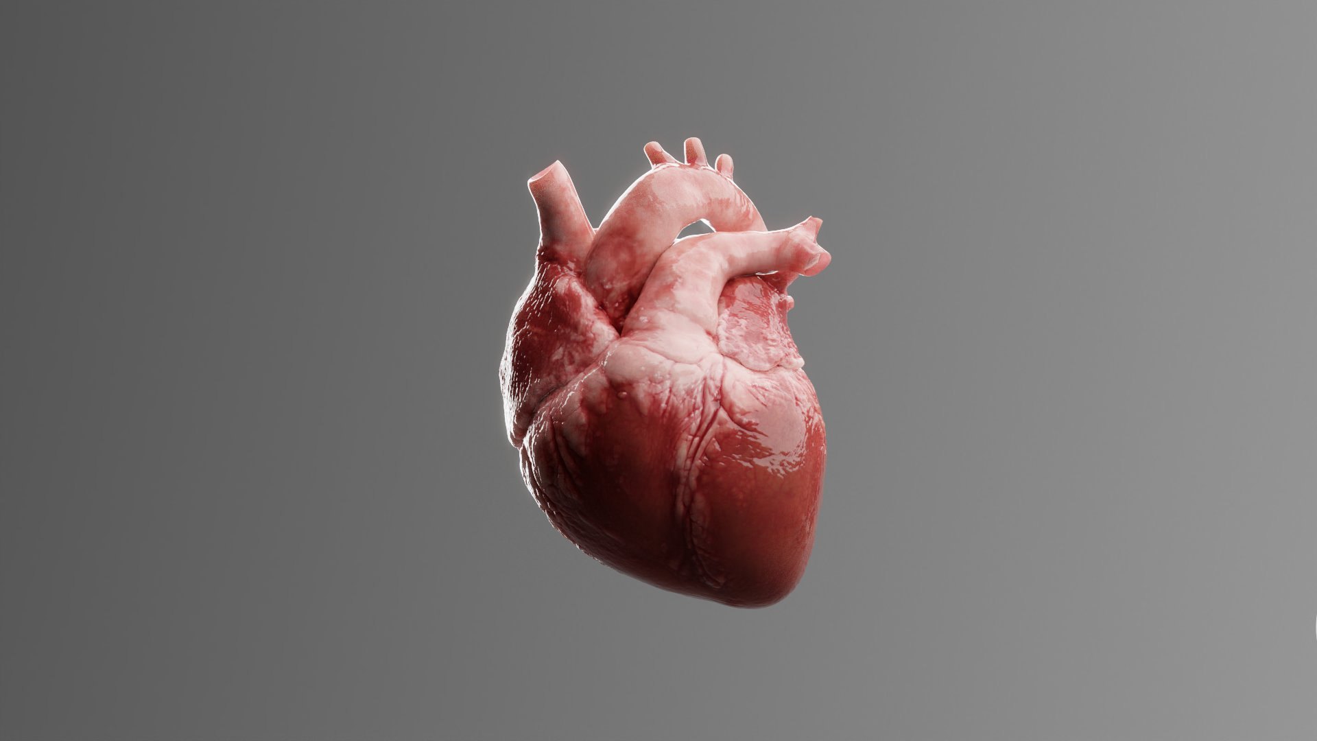 Sickle Cell: CGI heart