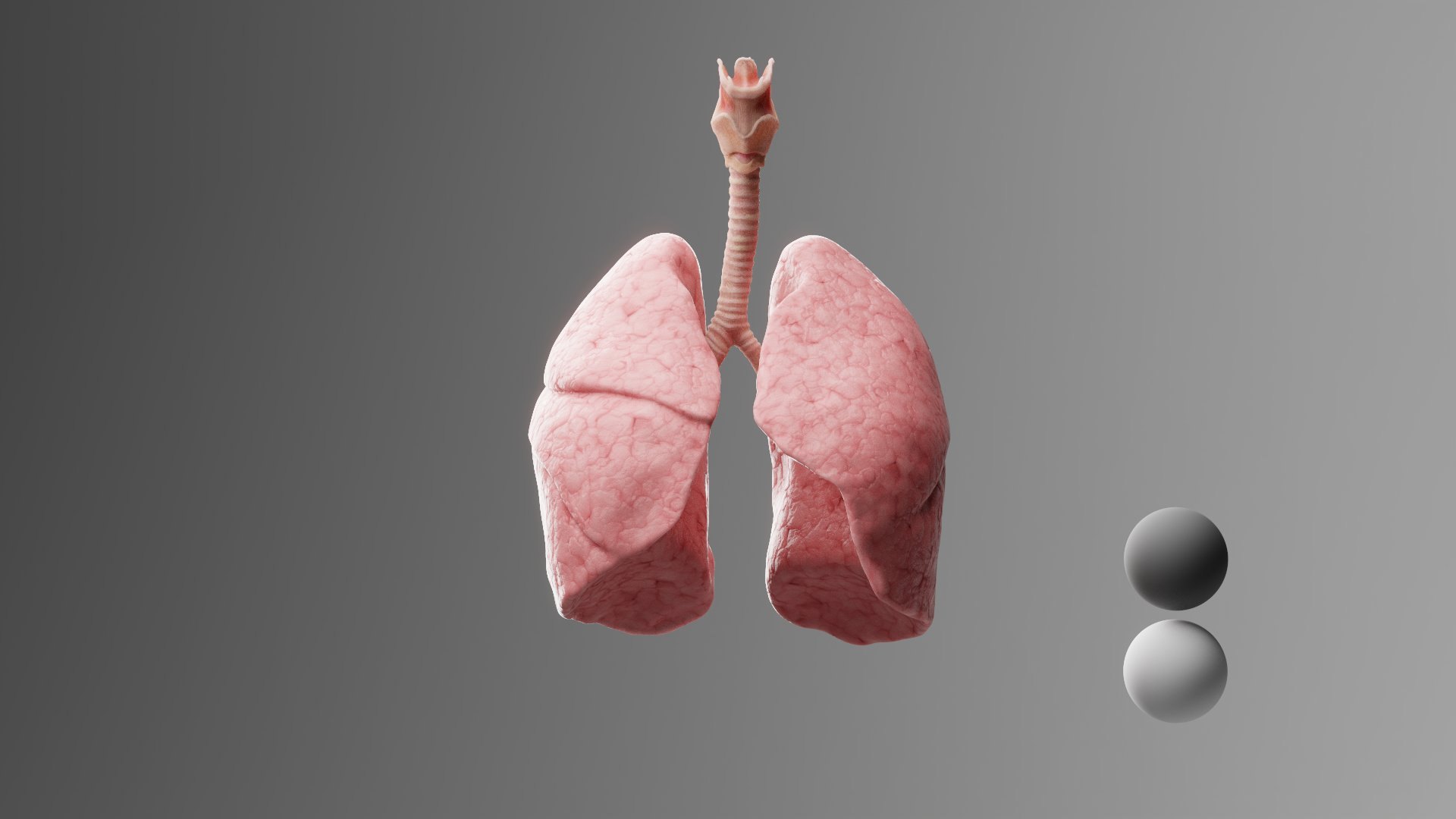 Sickle Cell: CGI lungs