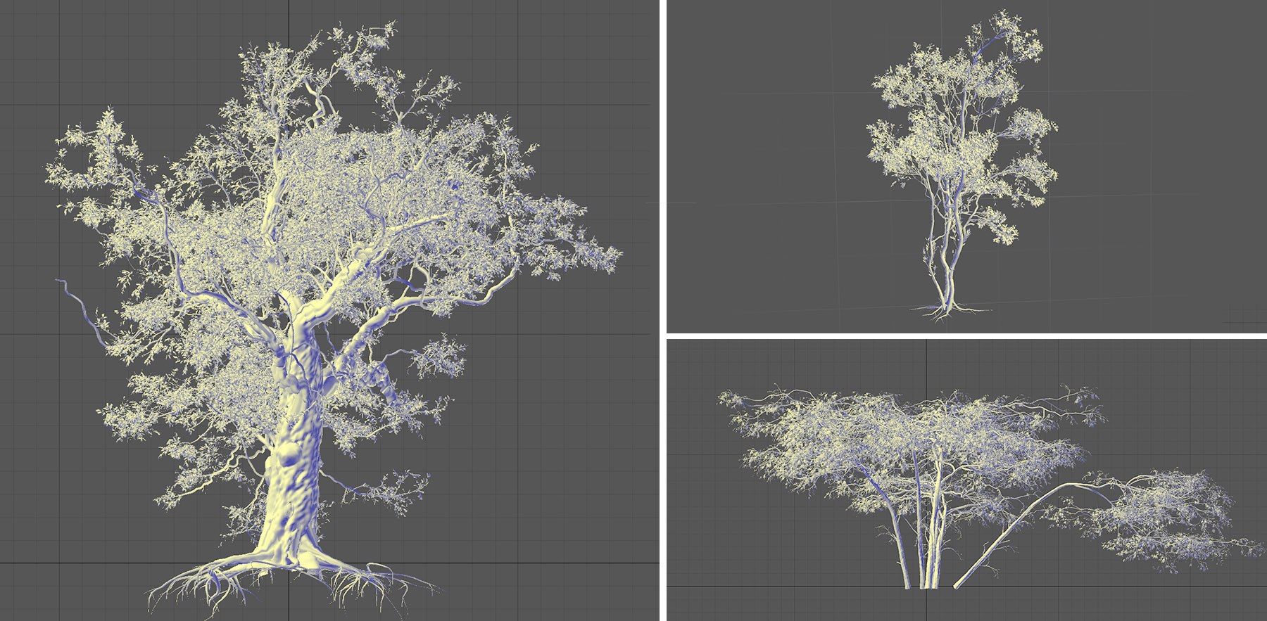 Wireframe acacia tree models