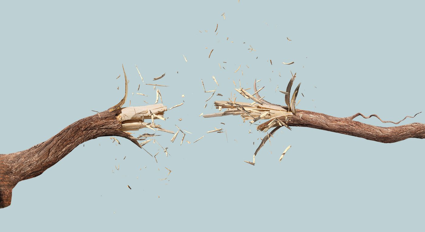 Victoza Roots: a CGI branch snapping in two