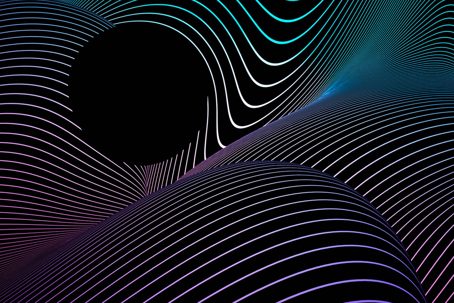 Warped Lines, image 3