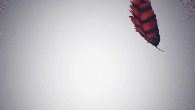Feather