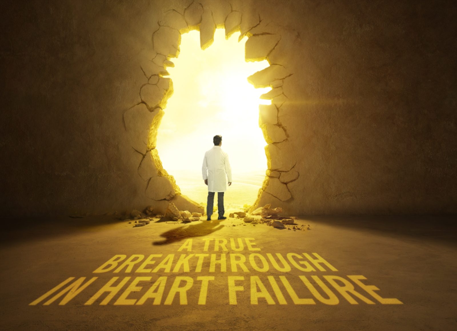 Heart Wall